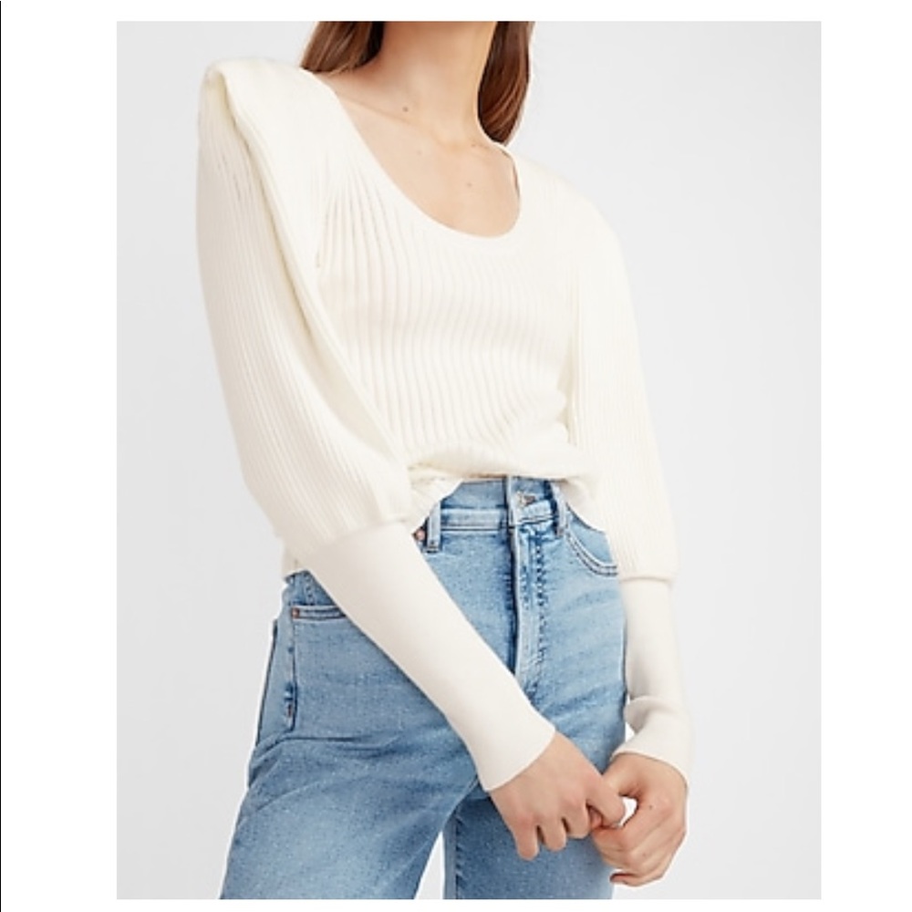 NWT Express sweater